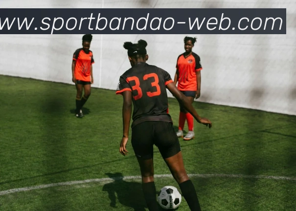 半岛体育平台生态图