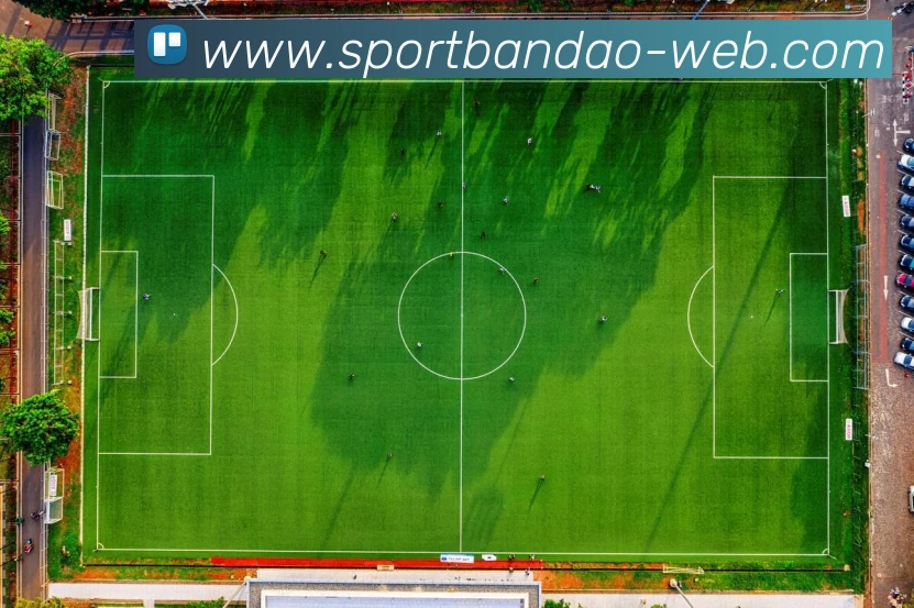 半岛体育全站App